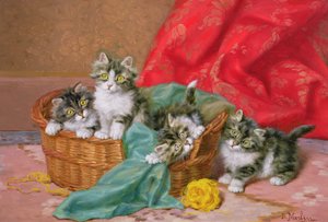 Chatons espiègles